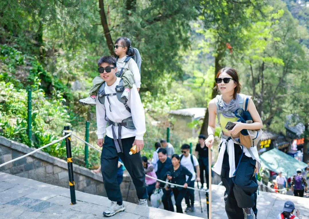 山东大学生泰山陪爬月入5位数！五一咨询量是平时两倍：已成立工作室，毕业后专职陪爬