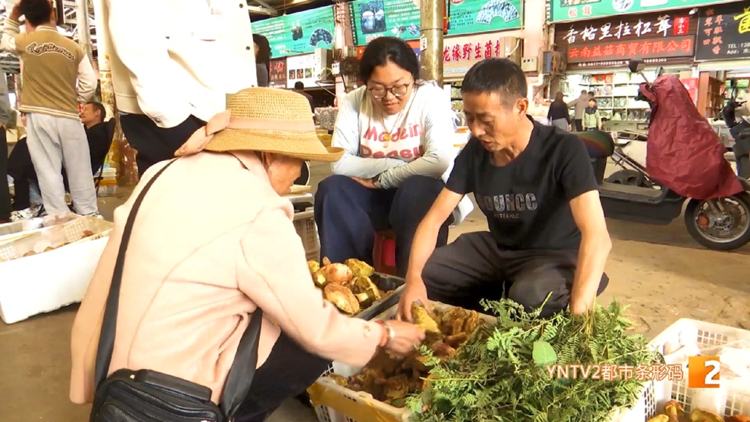 菌子冒头!打头阵的来了,关键是价格降到…… 菌子冒头!打头阵的来了,关键是价格降到……