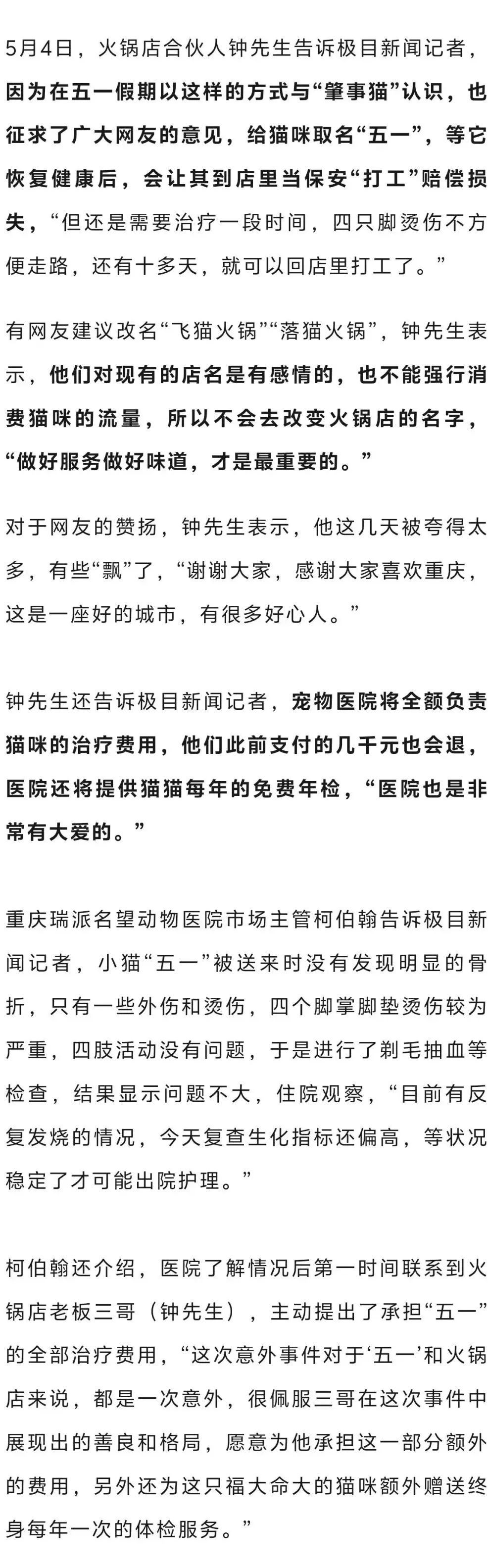 猫咪掉进火锅，烫伤9名食客！店主做法获怒赞，门店回应