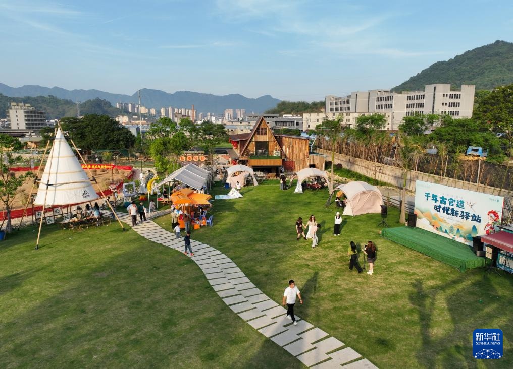 图片故事丨“90后”青年让荒地变成文艺小院