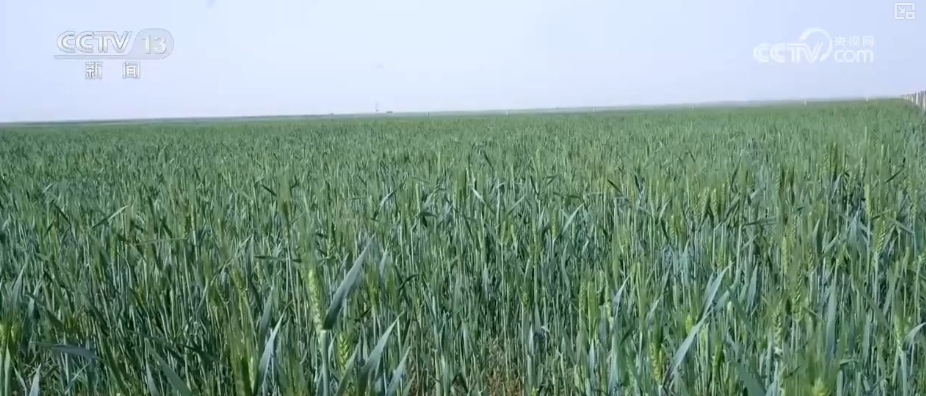 “五一”假期 劳动者们用实际行动谱写新时代劳动赞歌 “五一”假期 劳动者们用实际行动谱写新时代劳动赞歌