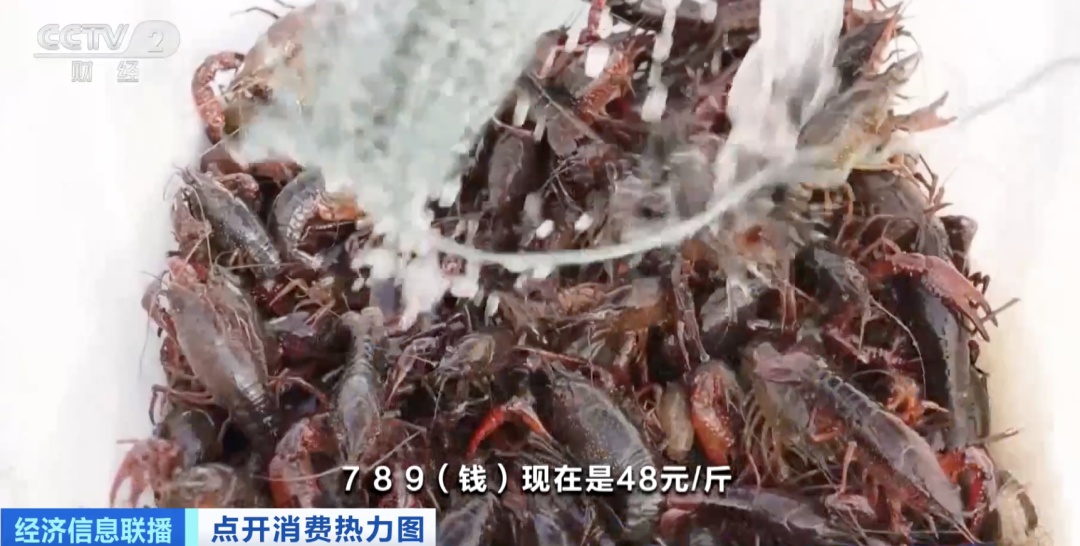 夏季“顶流”大量上市！今年你吃了没？