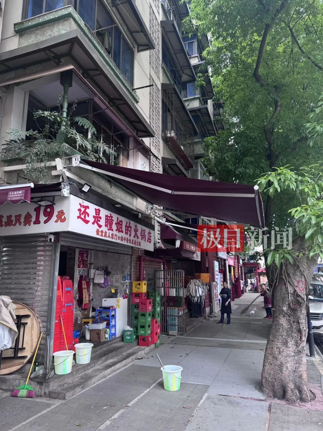 猫咪掉进火锅，烫伤9名食客！店主做法获怒赞，门店回应