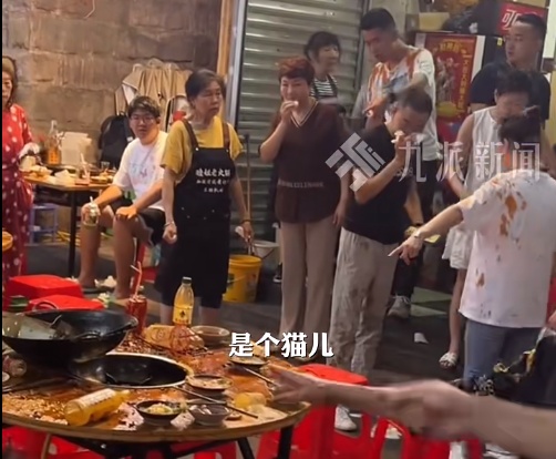 猫咪掉进露天火锅，烫伤9名食客！店主做法获怒赞→