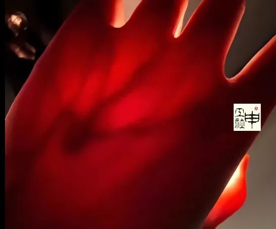 “网友留言救了我命…”女生拿手电筒照手，网友发现不对劲