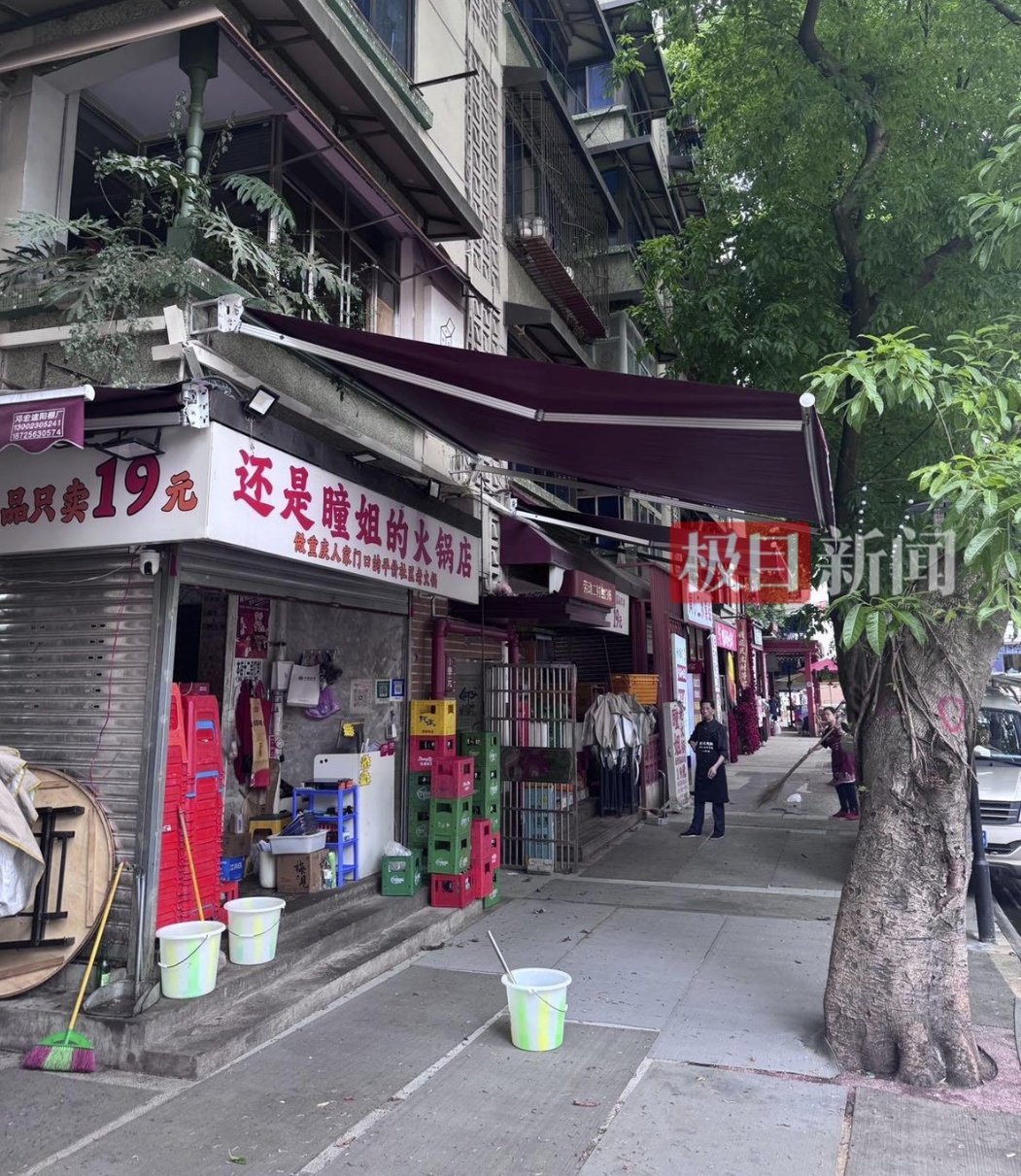 猫咪掉进露天火锅，烫伤9名食客！进展：已装上雨棚→