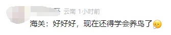 广州海关在曲奇罐中查获136枚濒危鸟蛋，100枚已孵化出呆萌小鹦鹉
