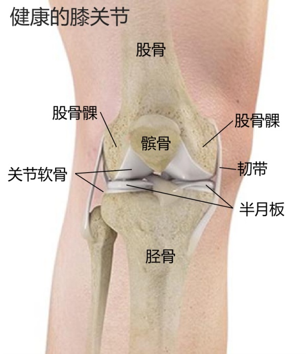 为啥“人老腿先老”？揭秘其中的5个真相！中医5大方法教你养护膝盖→