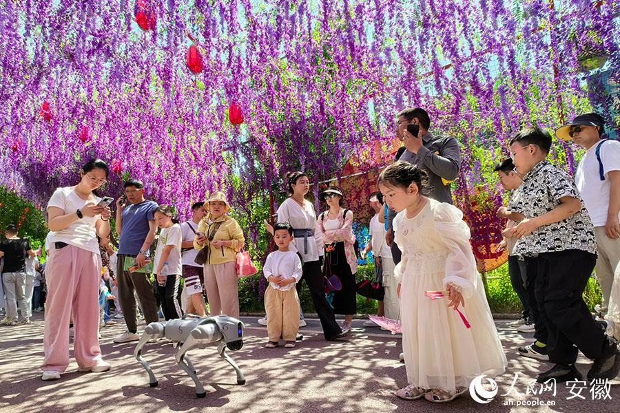 机器人“入职”景区 轻松拿捏! 机器人“入职”景区 轻松拿捏!
