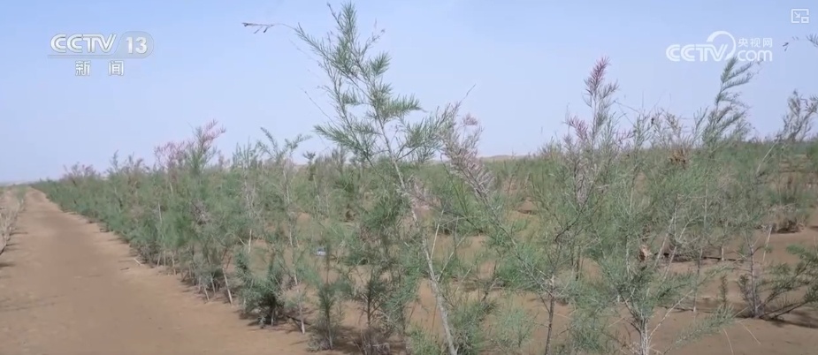 “五一”假期 劳动者们用实际行动谱写新时代劳动赞歌 “五一”假期 劳动者们用实际行动谱写新时代劳动赞歌