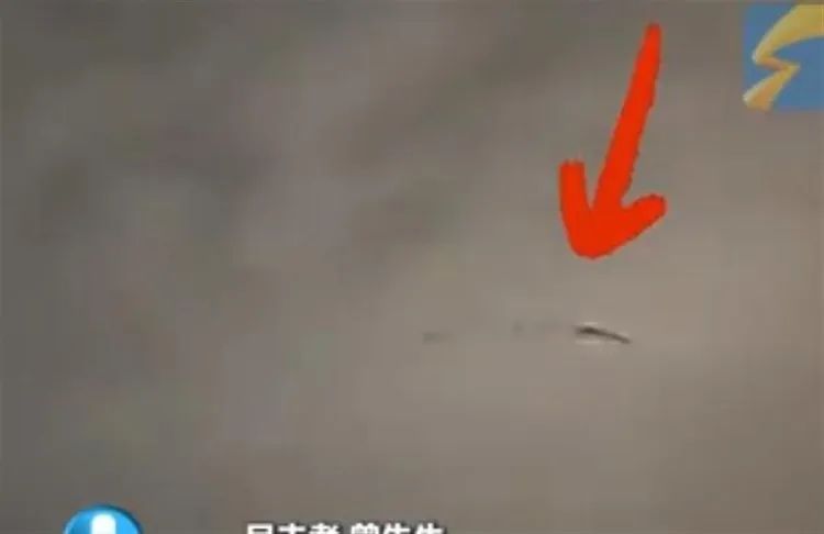 至少有三条!西安雷雨夜网友拍到龙形飞行物,气象部门回应 至少有三条!西安雷雨夜网友拍到龙形飞行物,气象部门回应