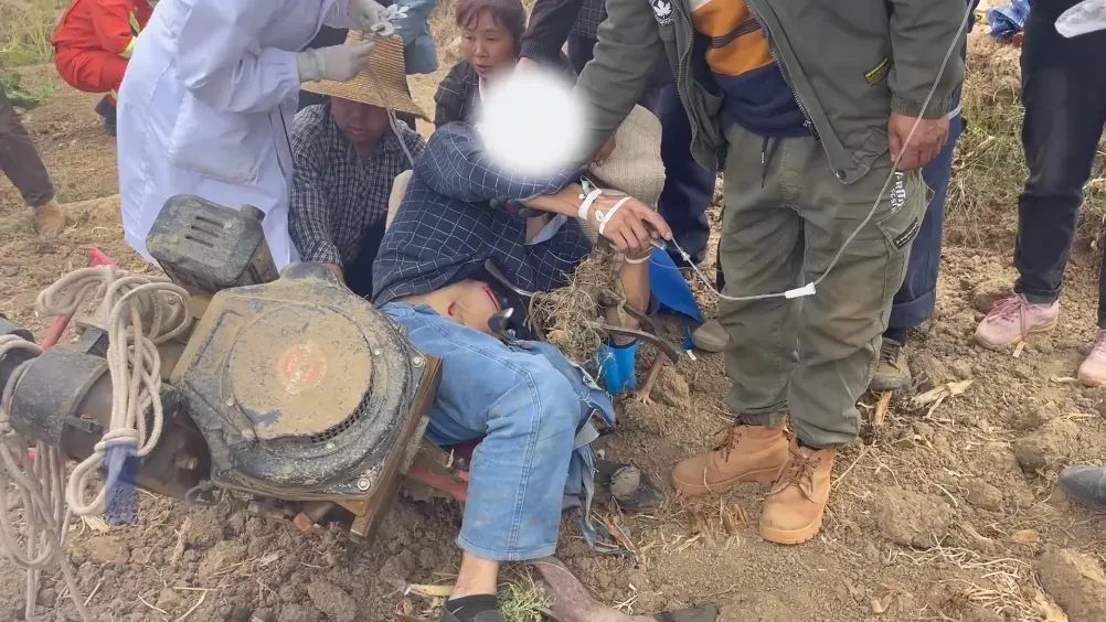 果园内老人被刺两刀倒地，农耕季警惕它“行凶”！