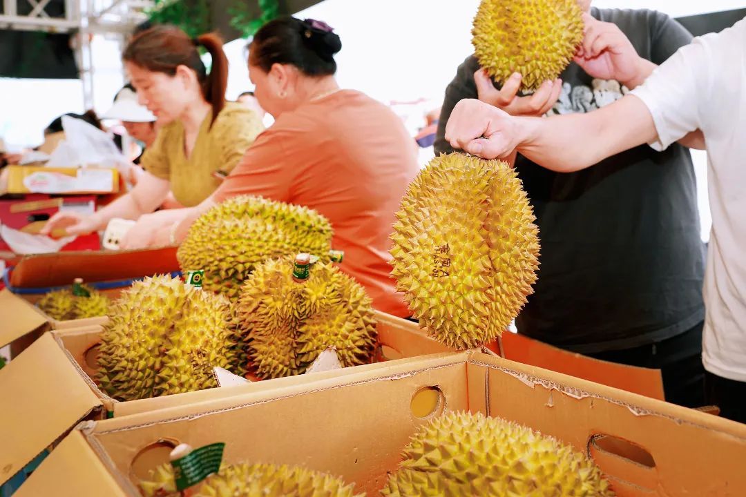 榴莲控集合！最便宜的29.8元/斤，已在广州大量上市，预计本月中下旬还会明显降价
