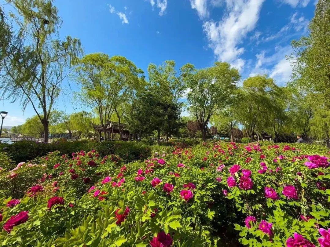 今日立夏,接下来还有3次降温天气 今日立夏,接下来还有3次降温天气