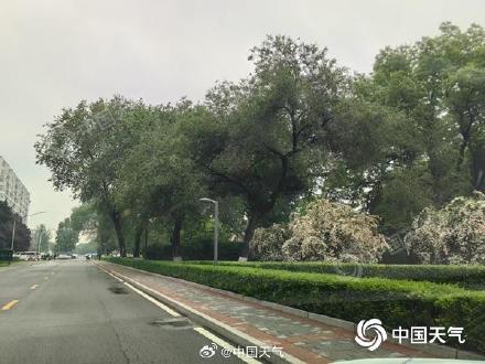 阴雨扰返程!北京午后至夜间有雷阵雨 局地需防短时大风或冰雹 阴雨扰返程!北京午后至夜间有雷阵雨 局地需防短时大风或冰雹