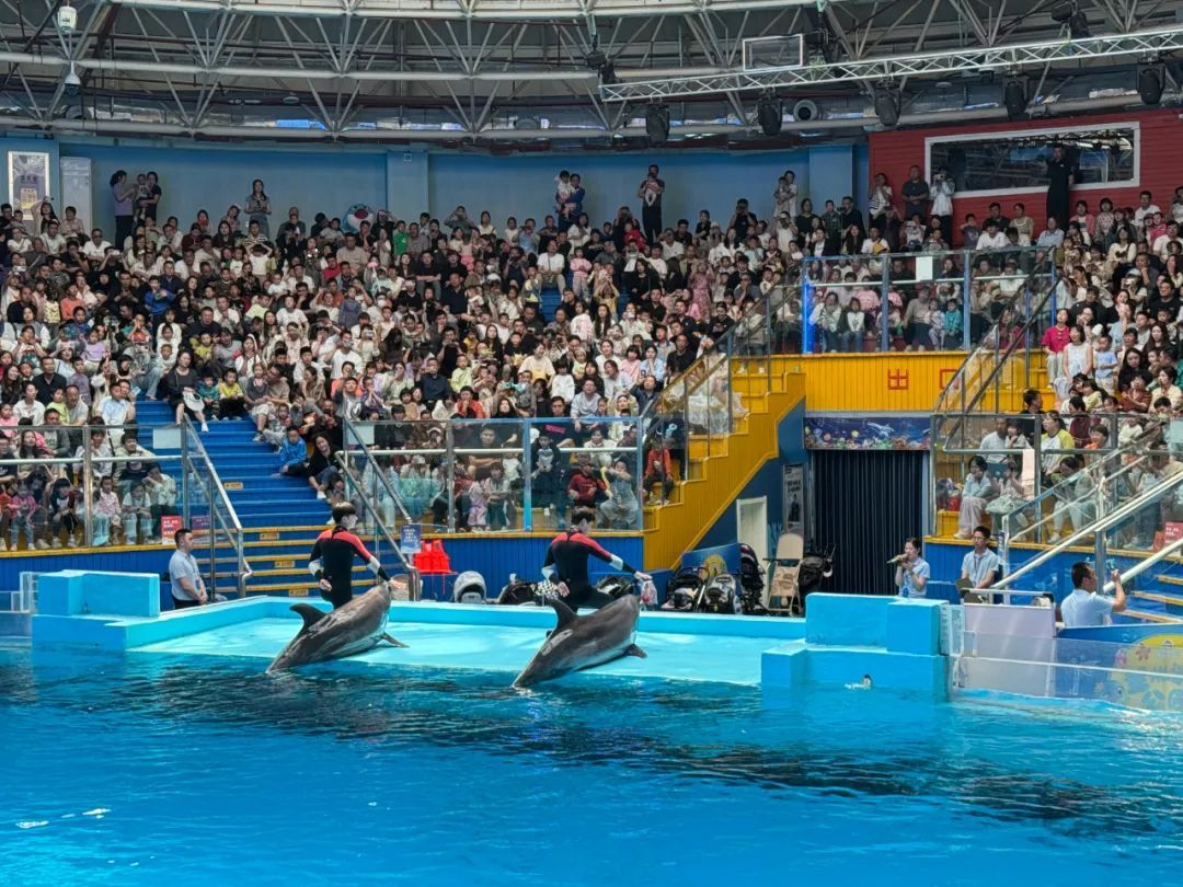 兰州海洋公园4天迎客近3万人