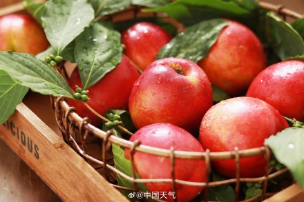 立夏尝鲜指南 全国瓜果地图解锁时令甜蜜带