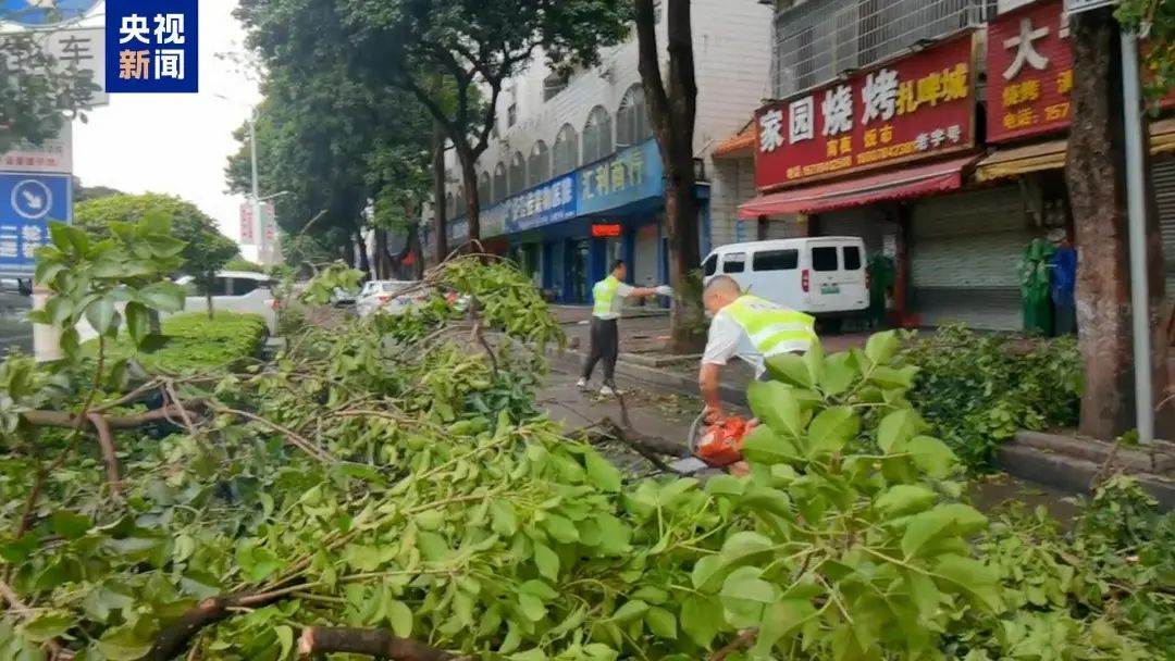 广西贺州出现暴雨冰雹天气：树木被折断，车辆受损