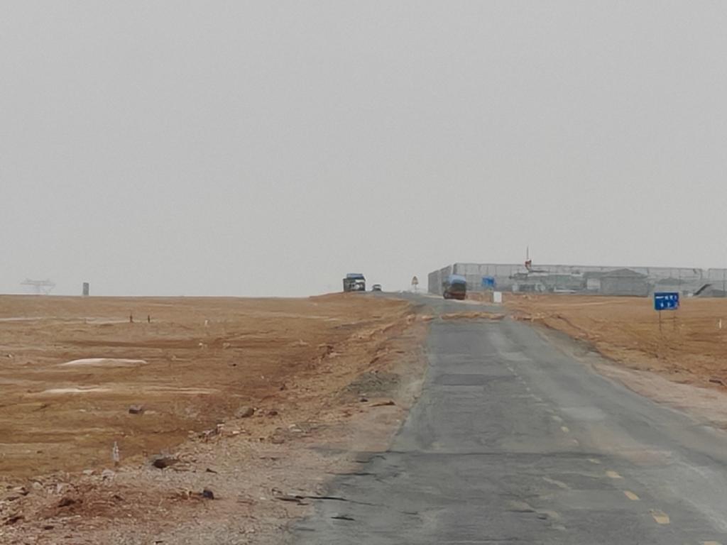 “高原精灵”藏羚羊开启一年一度迁徙产仔 “高原精灵”藏羚羊开启一年一度迁徙产仔