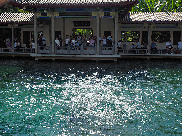 多地泉水复涌 “动力”从哪来？“福利”有哪些？
