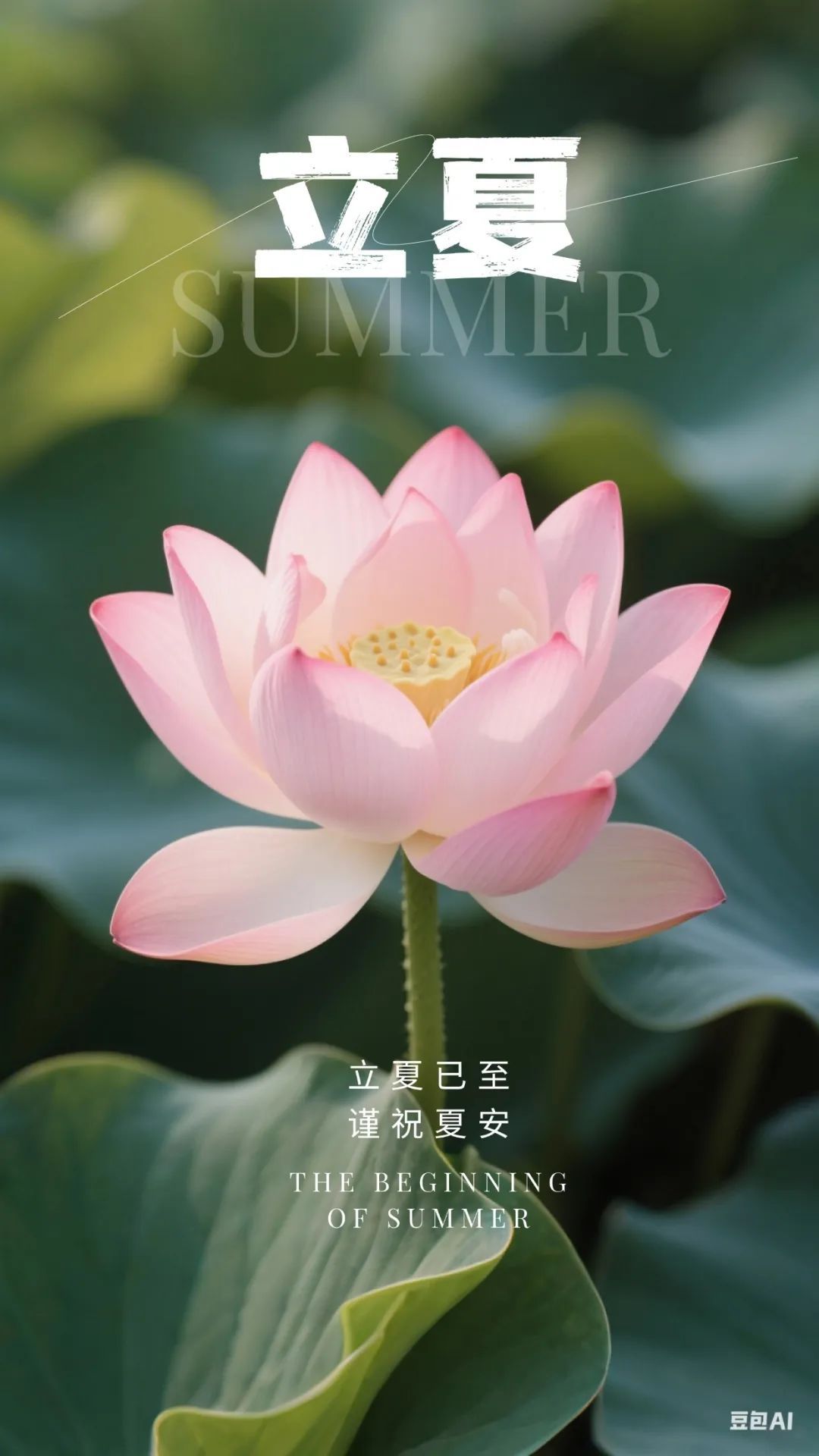 立夏｜今天这么吃，健康一整夏！