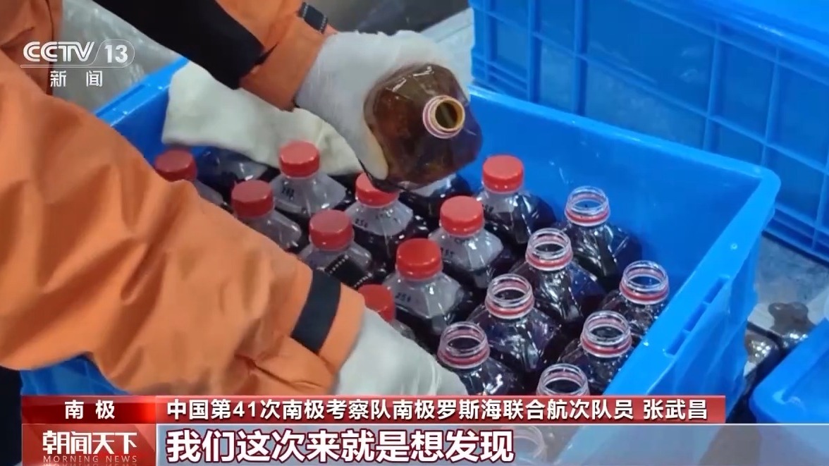 海水里藏着哪些南极生态奥秘?科学家们深入探索罗斯海 海水里藏着哪些南极生态奥秘?科学家们深入探索罗斯海