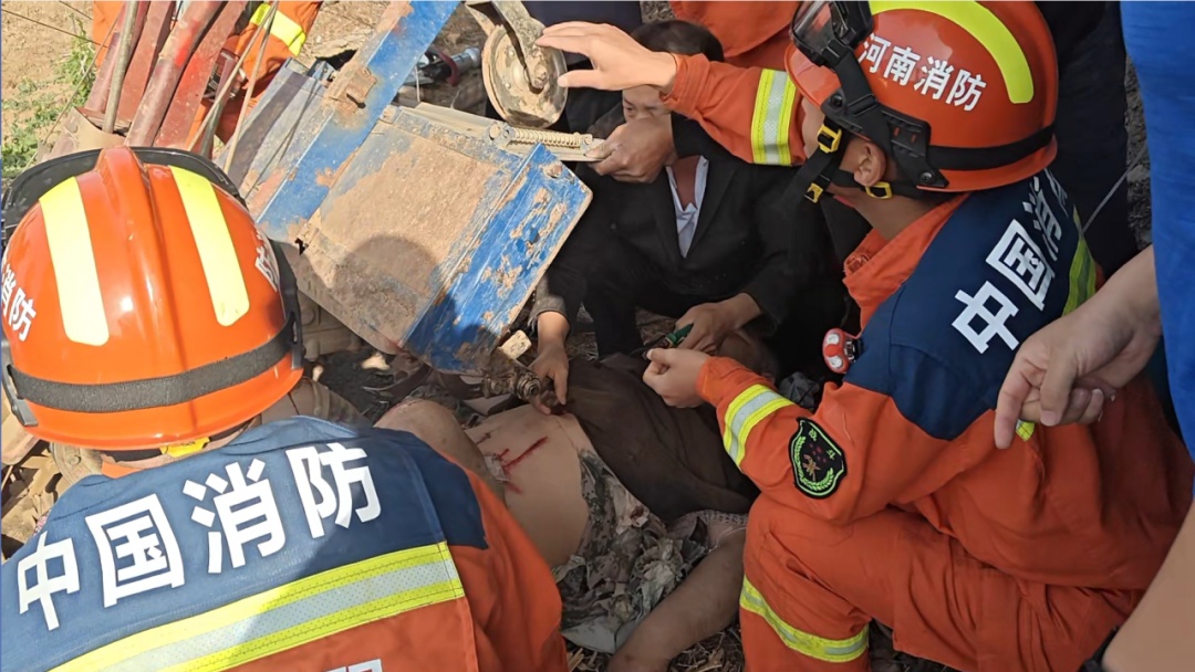 果园内老人被刺两刀倒地，农耕季警惕它“行凶”！