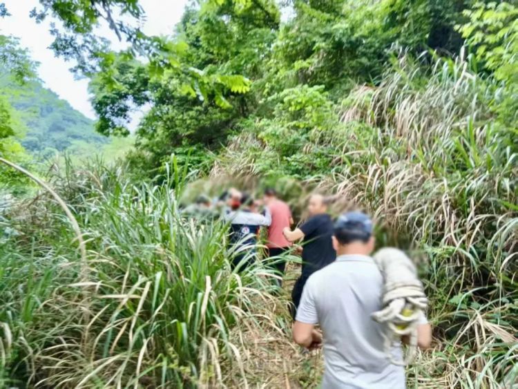 历经50小时!深山救援! 历经50小时!深山救援!