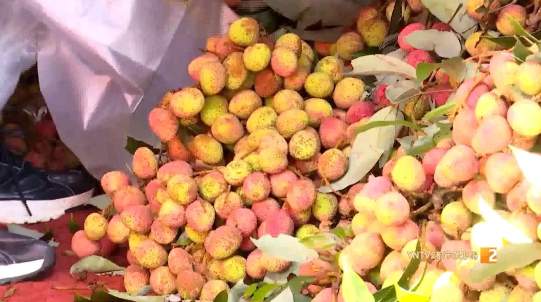 上市啦！这口香甜，很多云南人爱吃