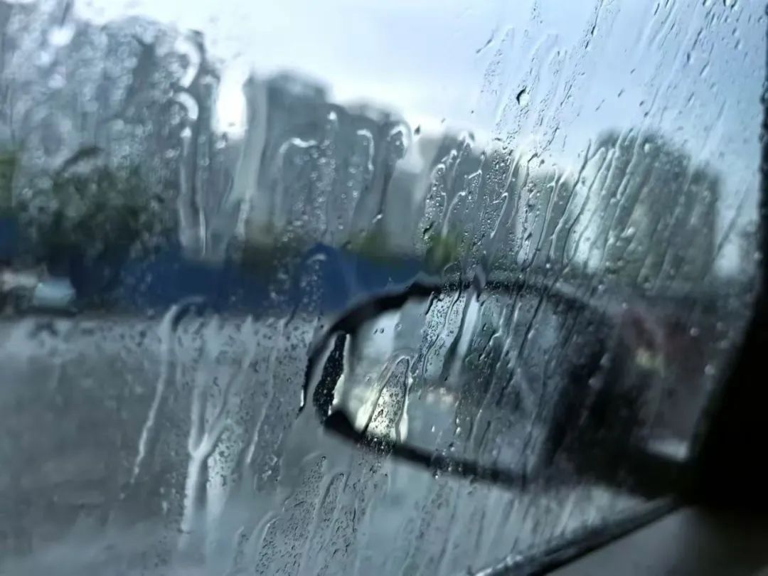 价格“腰斩”,大量上市!柳州人:根本停不下来…… 价格“腰斩”,大量上市!柳州人:根本停不下来……