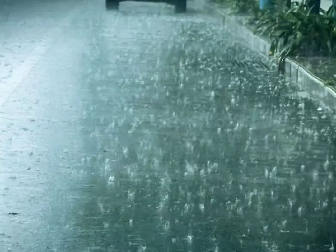 价格“腰斩”,大量上市!柳州人:根本停不下来…… 价格“腰斩”,大量上市!柳州人:根本停不下来……