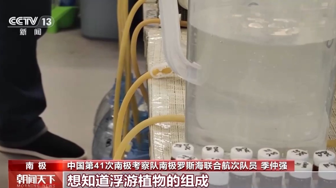 海水里藏着哪些南极生态奥秘?科学家们深入探索罗斯海 海水里藏着哪些南极生态奥秘?科学家们深入探索罗斯海