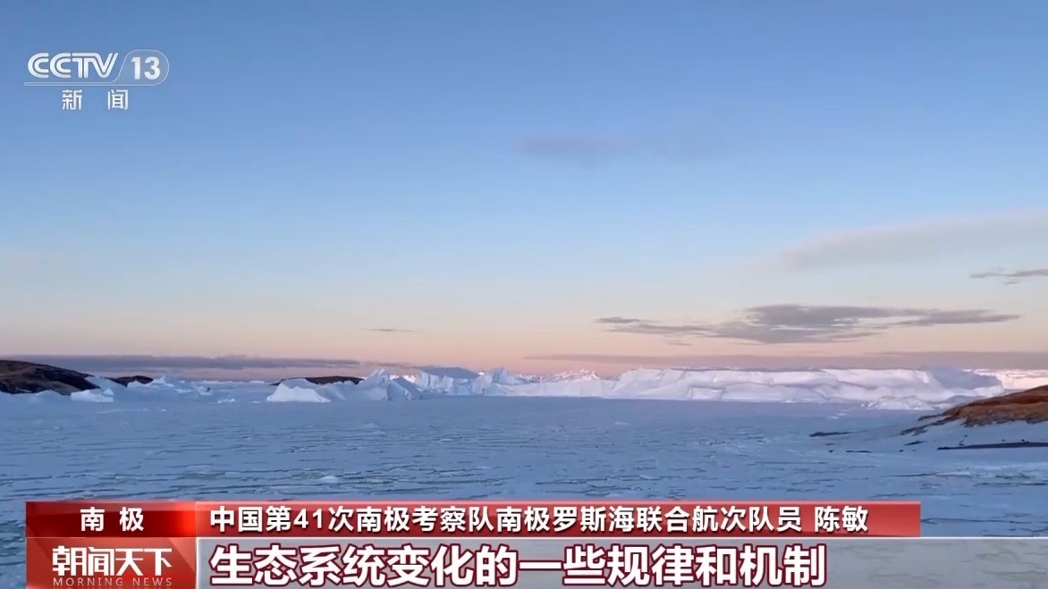 海水里藏着哪些南极生态奥秘?科学家们深入探索罗斯海 海水里藏着哪些南极生态奥秘?科学家们深入探索罗斯海