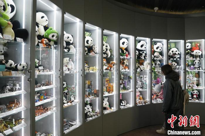 从“熊猫缘”到“中国情”：“喀秋莎”和她的朋友们