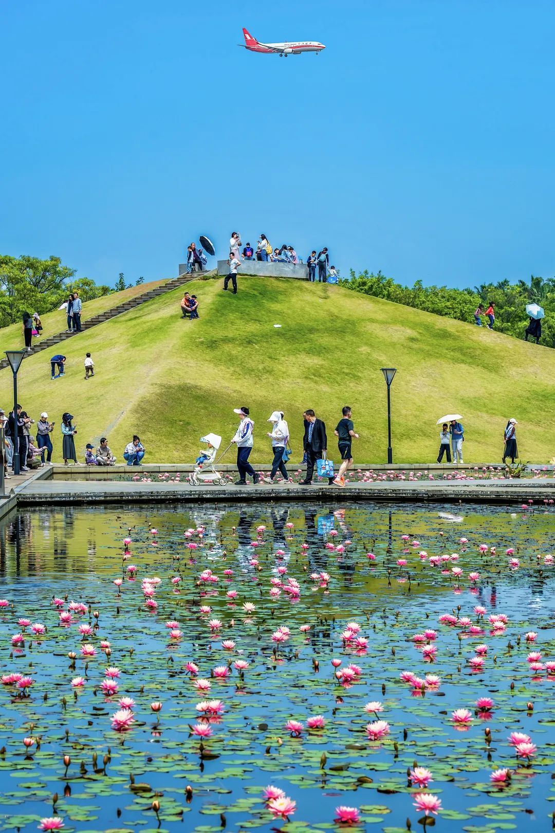 今日立夏丨万物至此皆长大,且看人间好时节 今日立夏丨万物至此皆长大,且看人间好时节