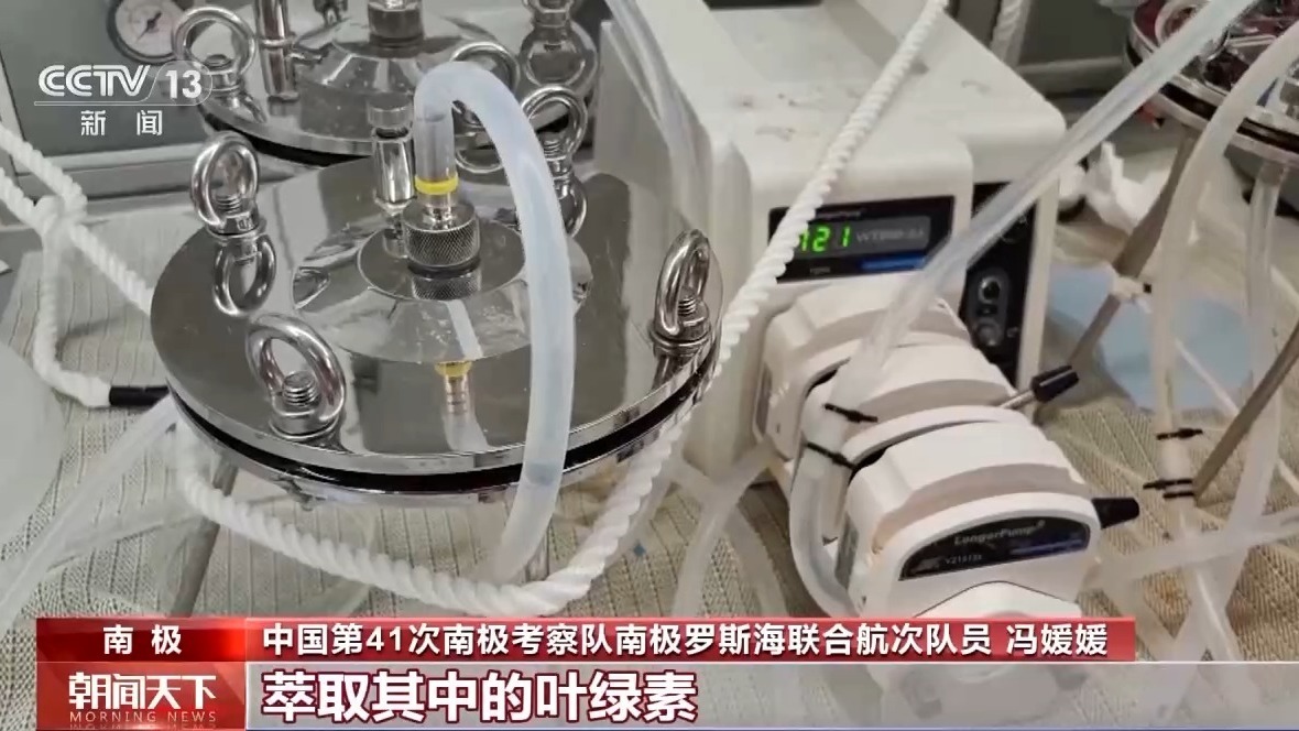 海水里藏着哪些南极生态奥秘?科学家们深入探索罗斯海 海水里藏着哪些南极生态奥秘?科学家们深入探索罗斯海