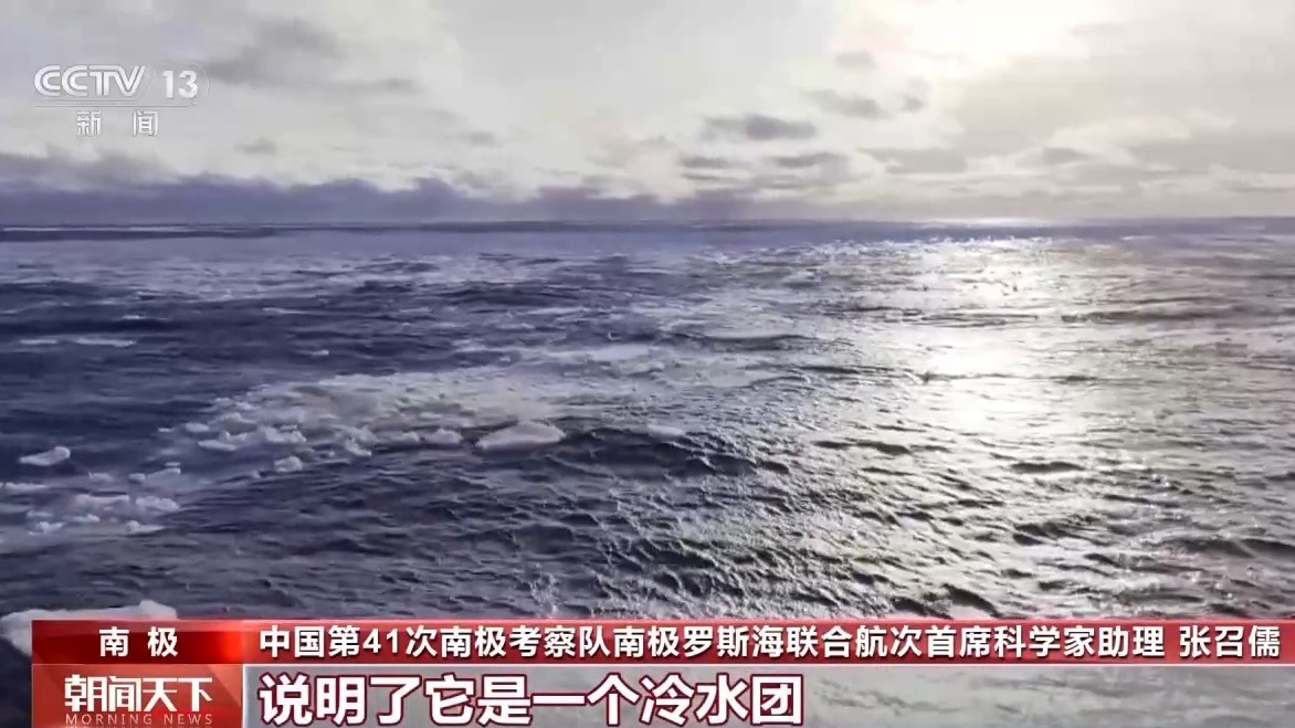 海水里藏着哪些南极生态奥秘?科学家们深入探索罗斯海 海水里藏着哪些南极生态奥秘?科学家们深入探索罗斯海