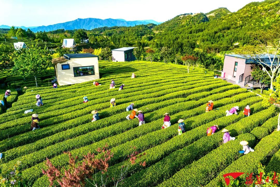 今日立夏丨万物至此皆长大,且看人间好时节 今日立夏丨万物至此皆长大,且看人间好时节