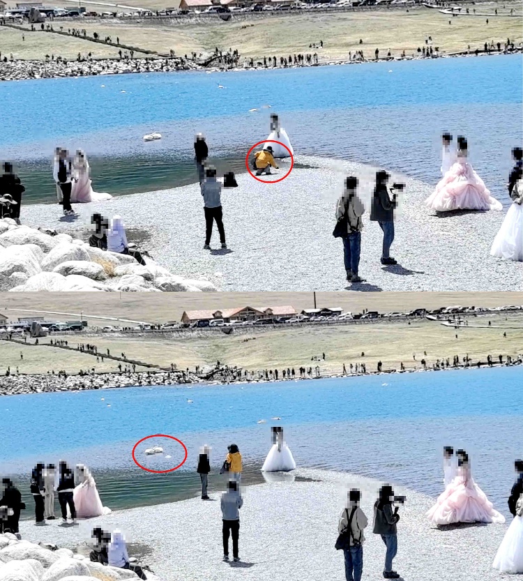 赛里木湖景区有商拍人员多次拿石子砸天鹅？景区回应：查实会将其拉入黑名单