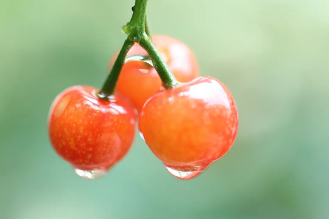 今日立夏，要做这些事！