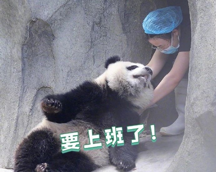 坏消息:明天上班!好消息:再上19天班又放假了,不调休! 坏消息:明天上班!好消息:再上19天班又放假了,不调休!