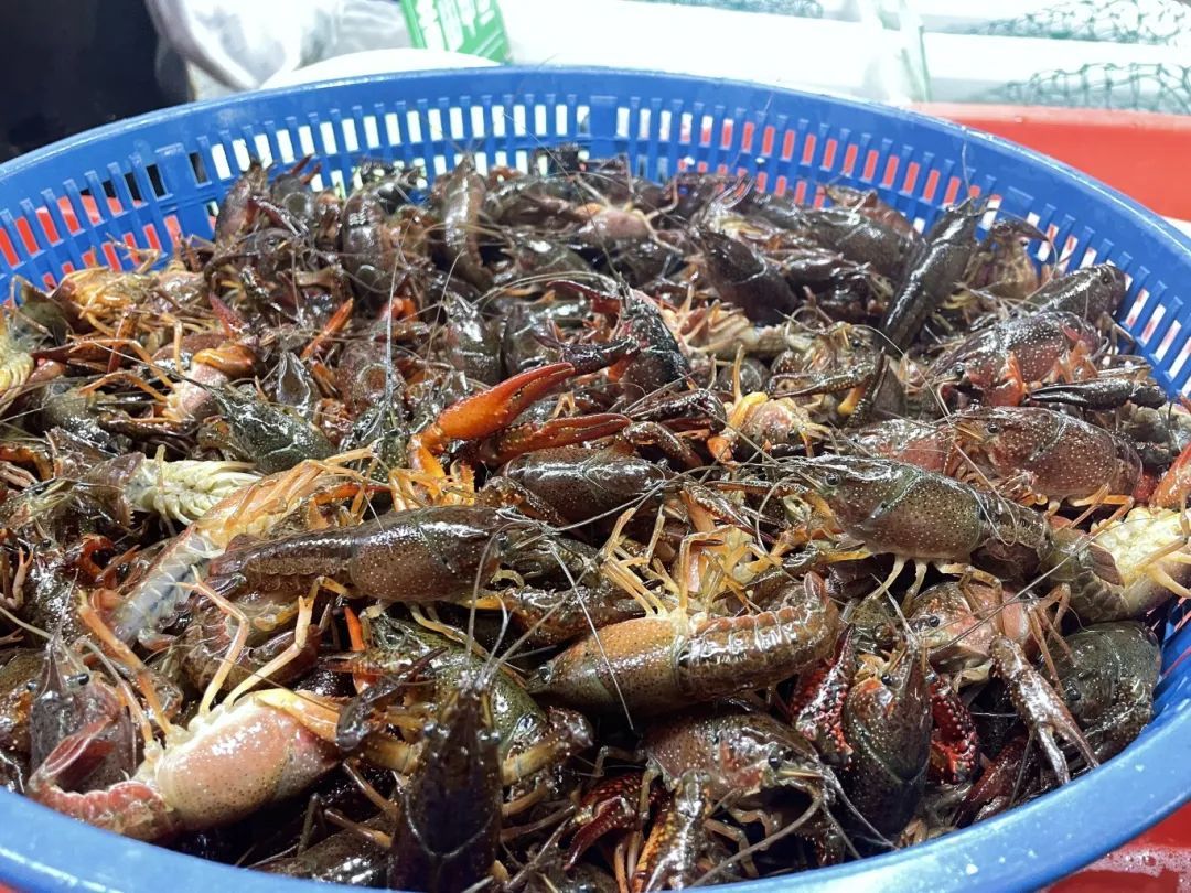 价格腰斩！一天卖出200多斤，这种美味正大量上市！老板：再等等，还会降