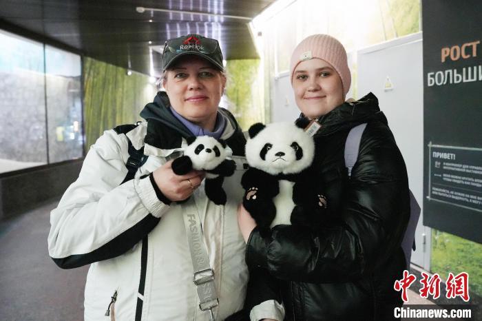 从“熊猫缘”到“中国情”：“喀秋莎”和她的朋友们