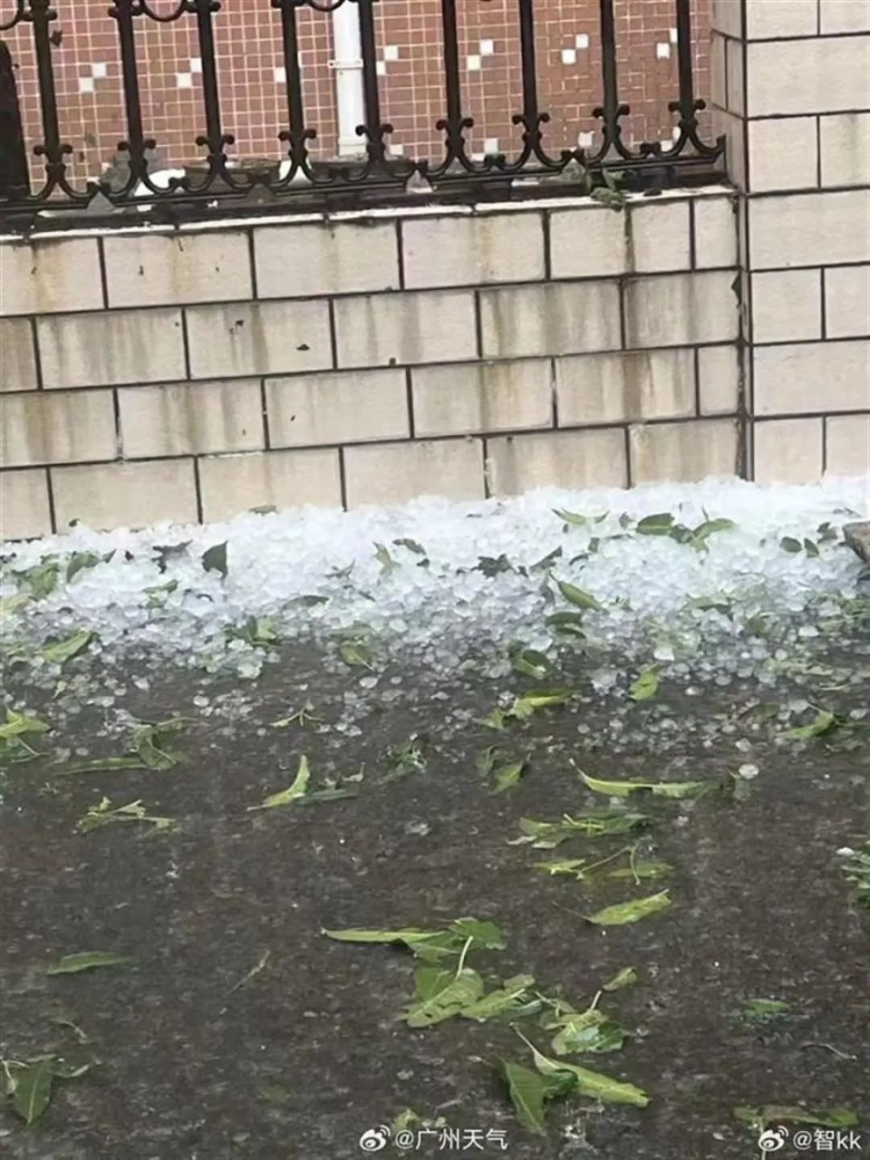 广州多地突降冰雹,市民:有半个手掌大,持续半小时左右 广州多地突降冰雹,市民:有半个手掌大,持续半小时左右