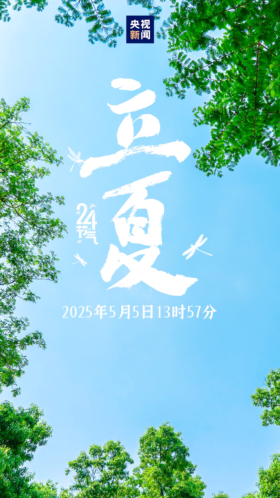 今日立夏！吃什么？
