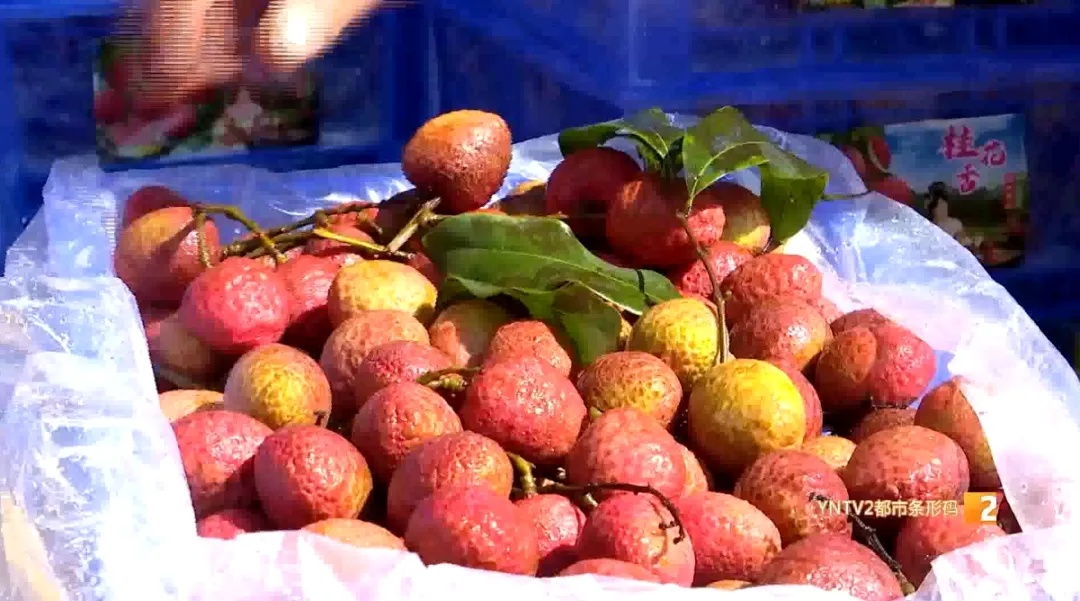 上市啦！这口香甜，很多云南人爱吃