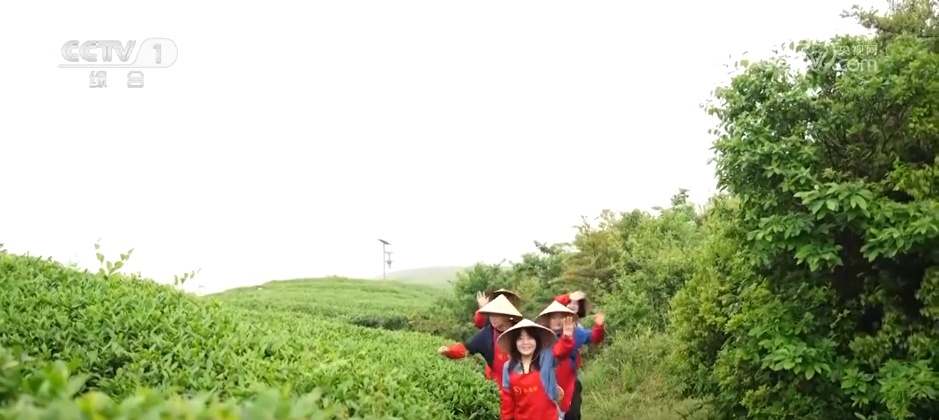 “五一”假期“农文商旅体”融合释放多彩活力 “新玩法”拉动假日消费热潮