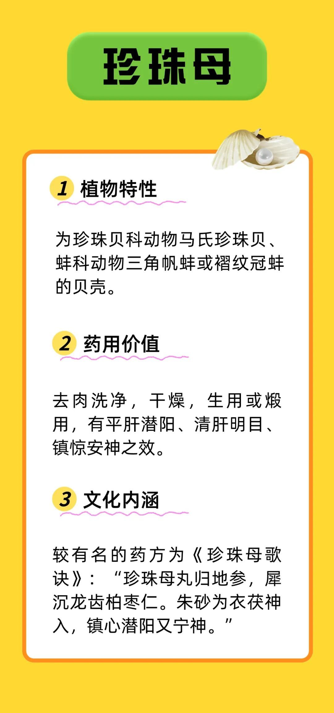 带 “母” 的中药不只有益母草！知母、贝母、珍珠母，你用过哪些？
