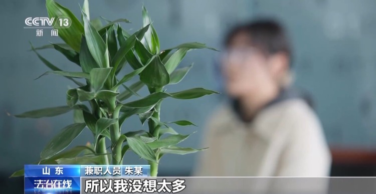 法治在线丨高薪兼职当心自己被“卖掉” 起底网络黑灰产“供血链” 法治在线丨高薪兼职当心自己被“卖掉” 起底网络黑灰产“供血链”