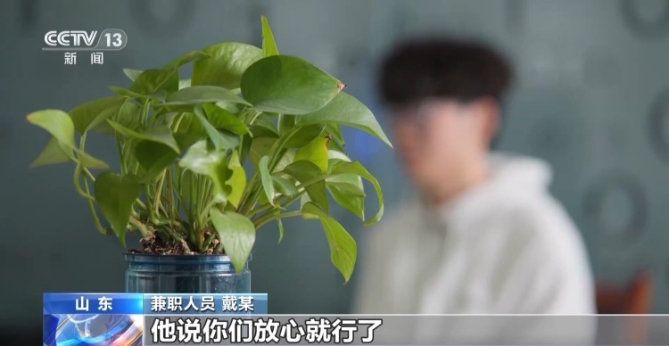 法治在线丨高薪兼职当心自己被“卖掉” 起底网络黑灰产“供血链” 法治在线丨高薪兼职当心自己被“卖掉” 起底网络黑灰产“供血链”